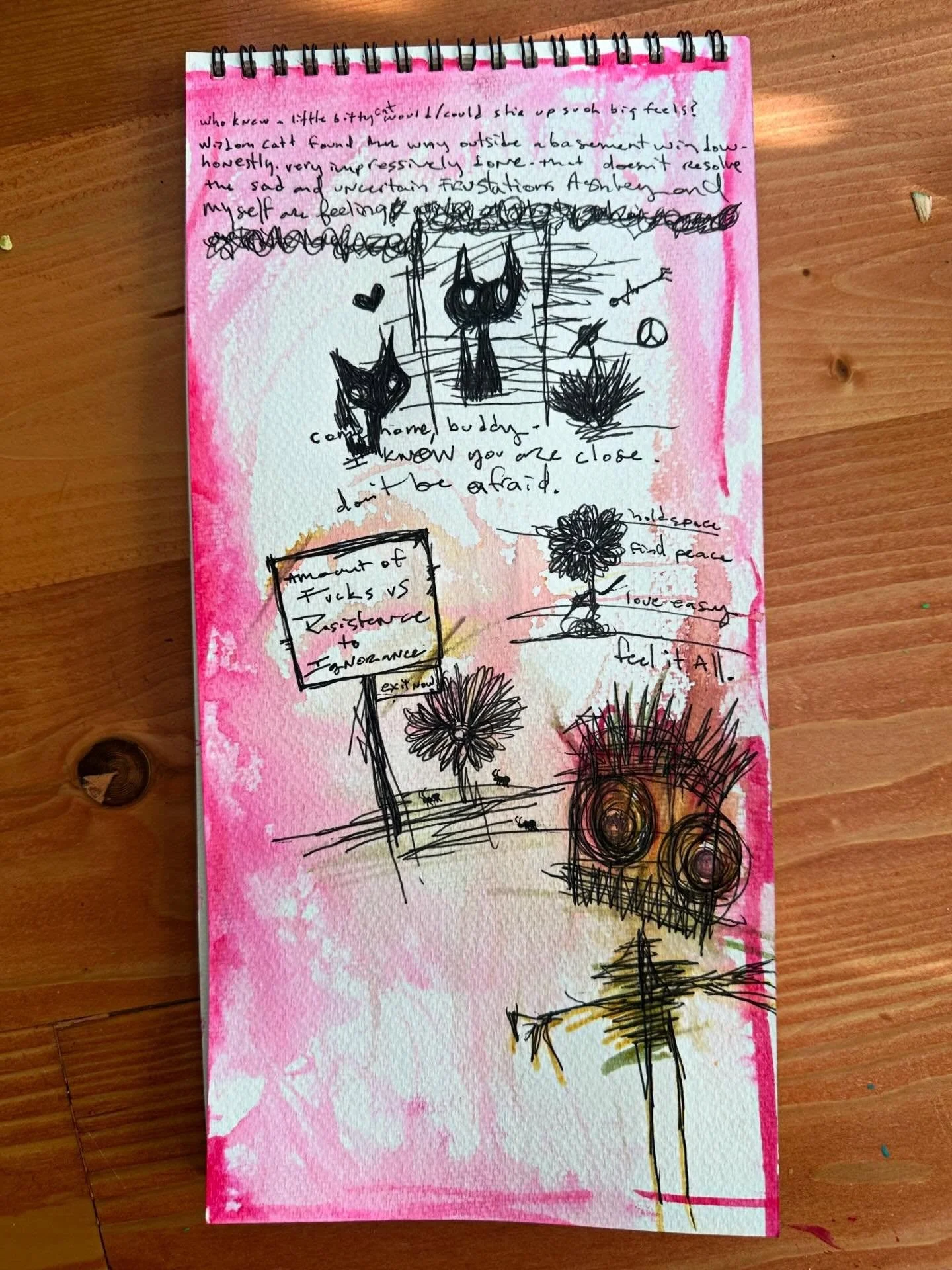 (Part 2 of 2) Last Wednesday Afternoon just before sunset, Ashley and my, one year ten month little cat named Wisdom snuck her way outside, with the help of our neighbors she was found and brought home in less than 24 hours. That doesn&rsquo;t underm