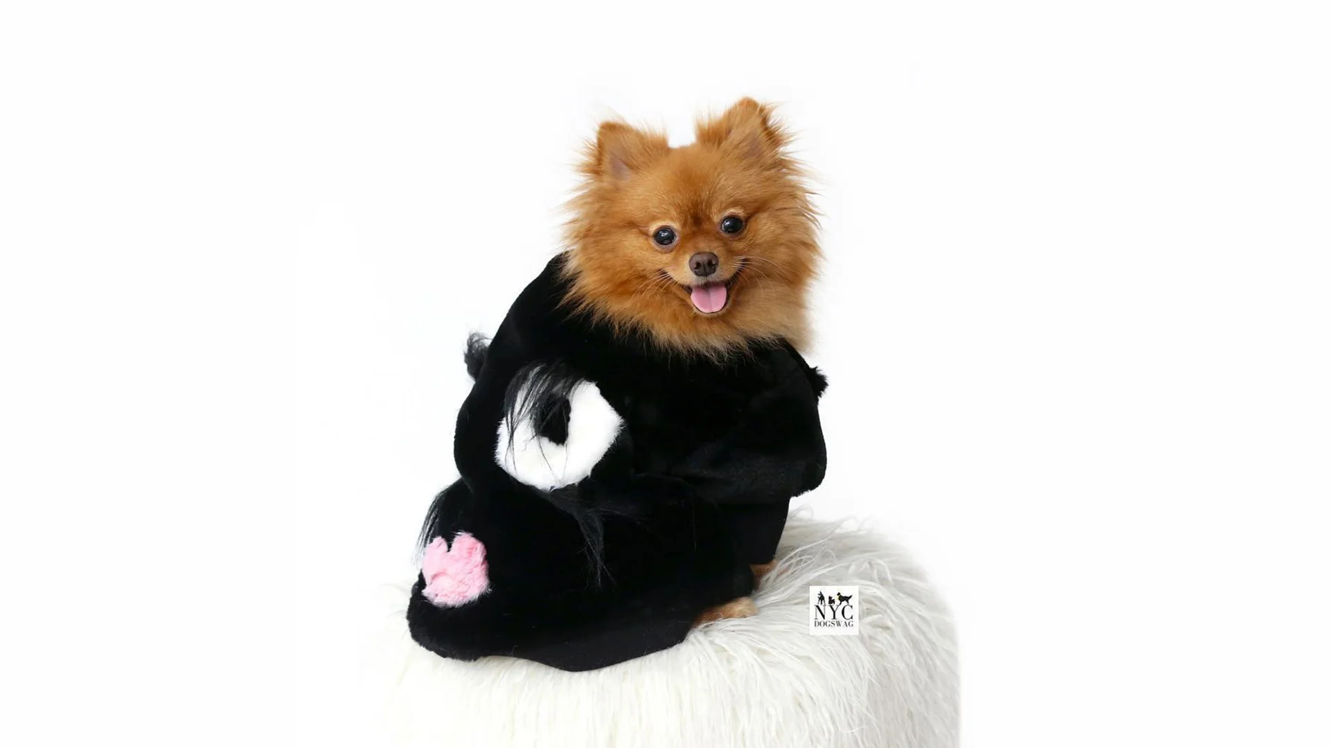 Jason Howard - NY Dog Swag