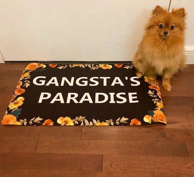 I'm the kinda G the little homies wanna be like 🎼😎🙌 @coolio #gangstasparadise #gangsta @amazon