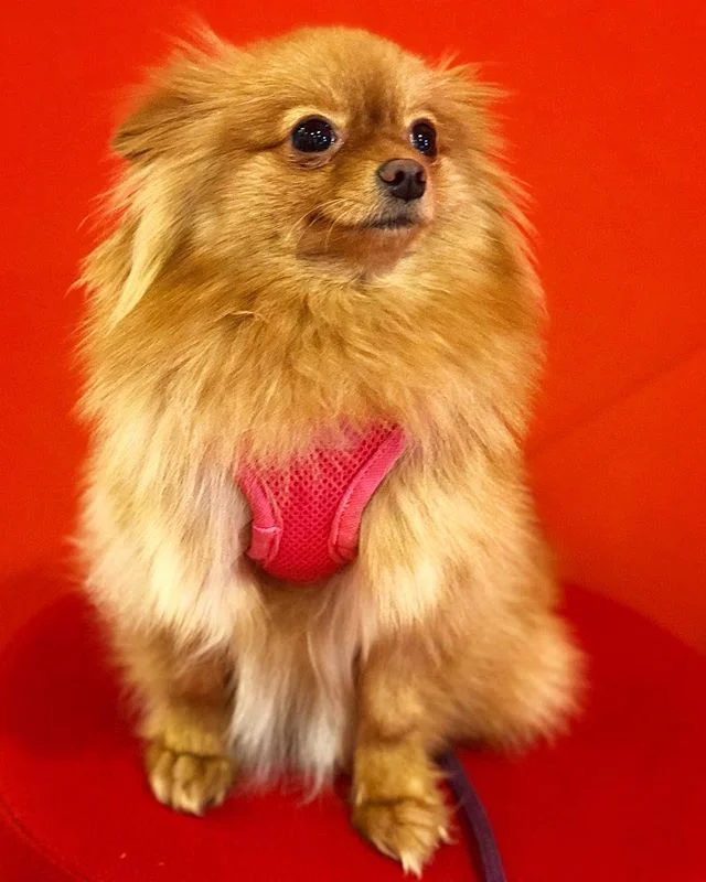 Thinking about my plans for the weekend like... 🤔🤗🙌 Happy FriYAY!