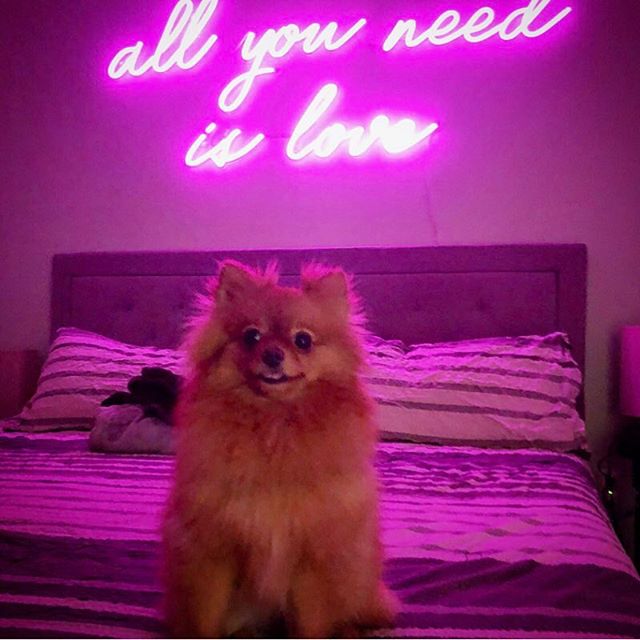 ... and bacon... 😋👌🥓 #priorities #bacon