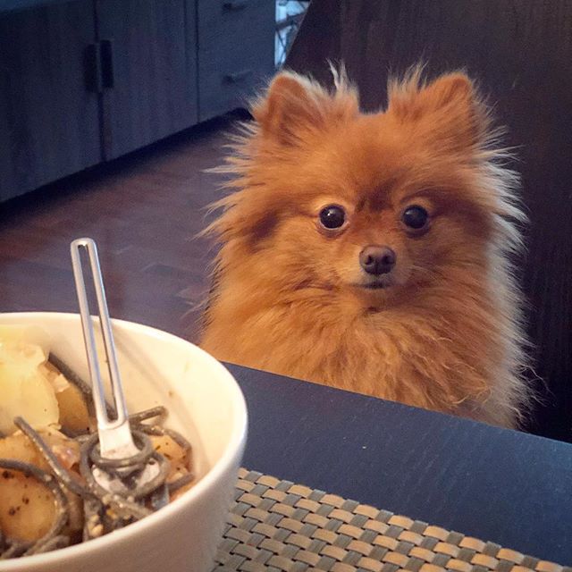 Can we talk about how your inability to share has gotten completely out of hand? 😋🤨😠#justonebite #no? #rude