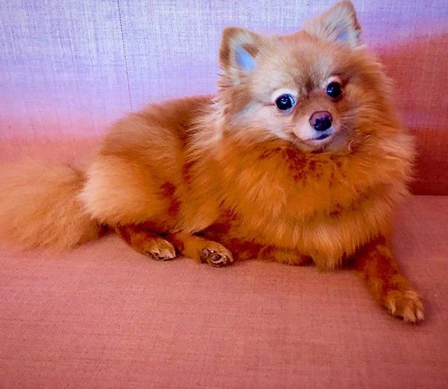 #TFW you&rsquo;re caffeinated and happy and then you crash so hard you want to sleep under your desk 😃😐😴 #morecoffee #caffeineplease #naptime #zzz