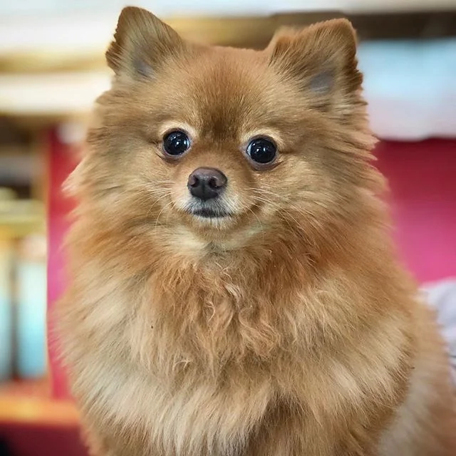 Holiday break is so close, I can practically smell it 🤗😋🎉 #happyholidays