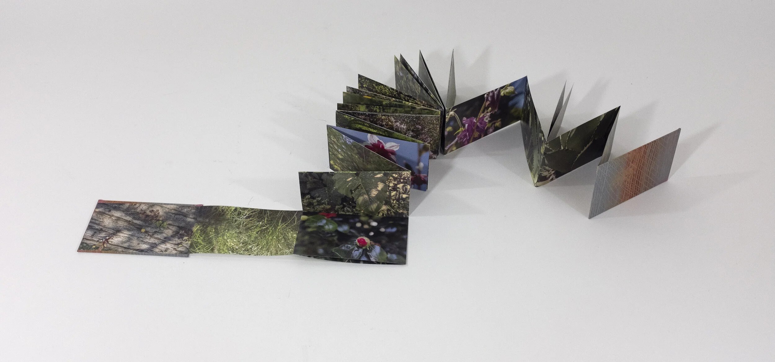 botanical garden book 3.jpg