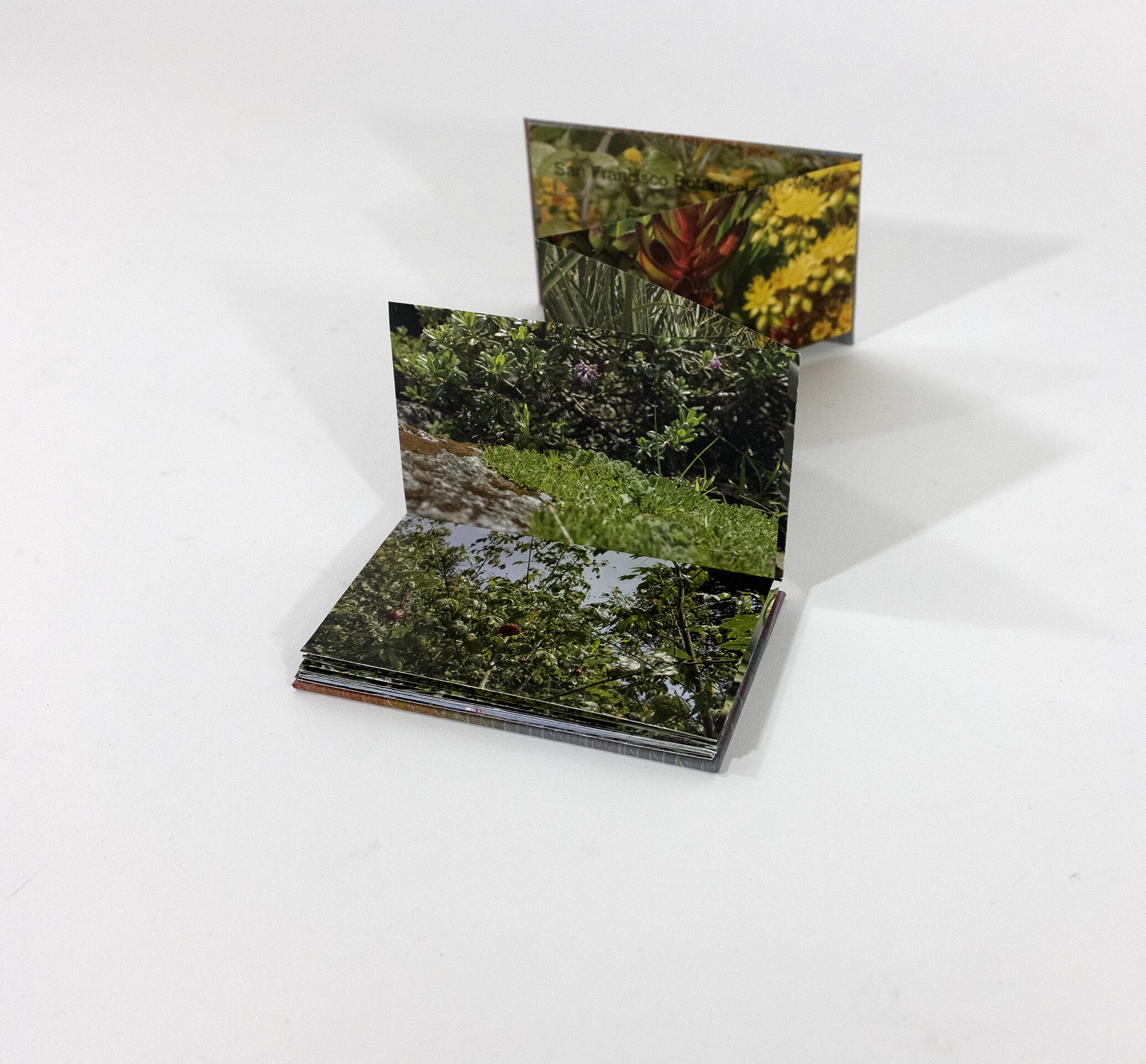 botanical garden book 5.jpg