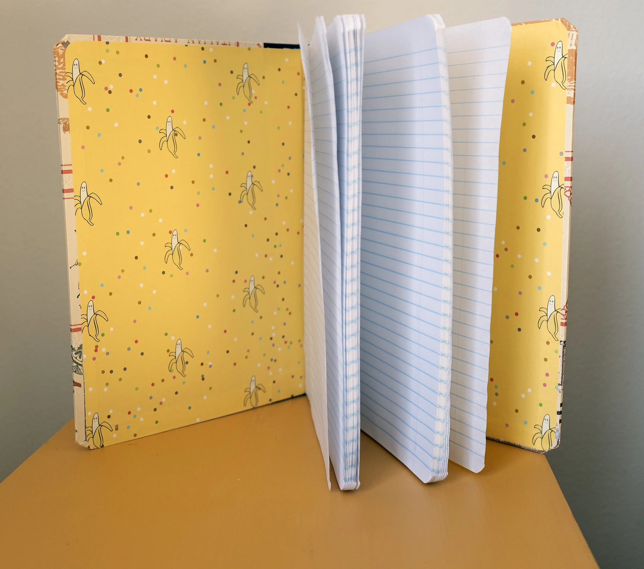 honeybee journal2.jpg