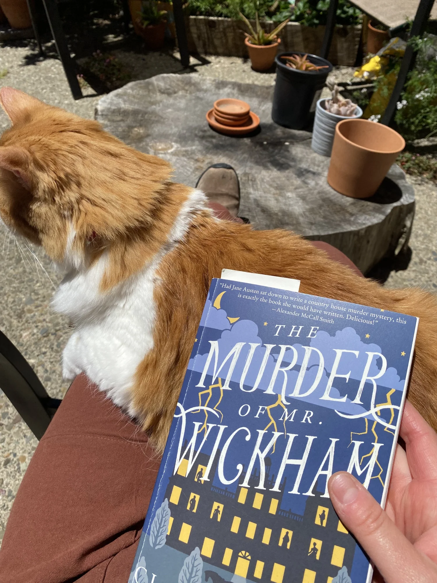 The Murder of Mr. Wickham Review — Nina Eve Zeininger