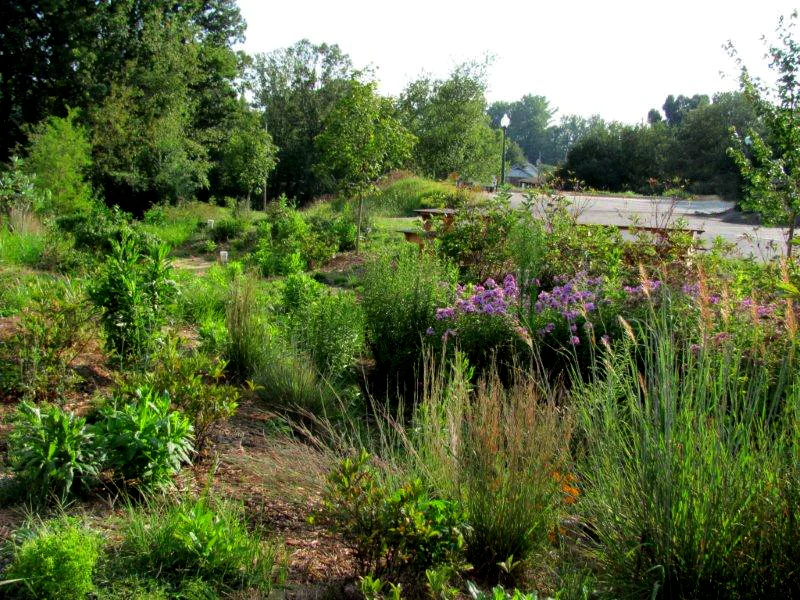 Town Hall Facility, Mars Hill, NC. After Installation of Stormwater LID Demonstration Project.