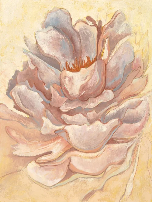 "PINK PEONY"