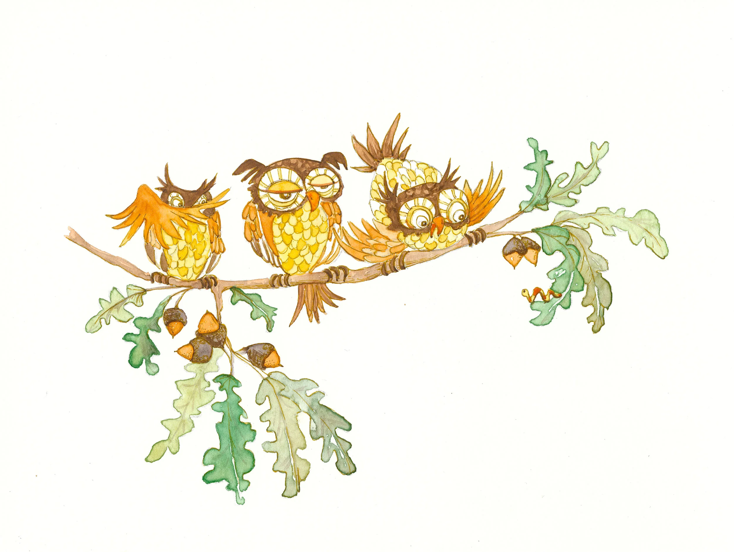 Owl and worm Illustration