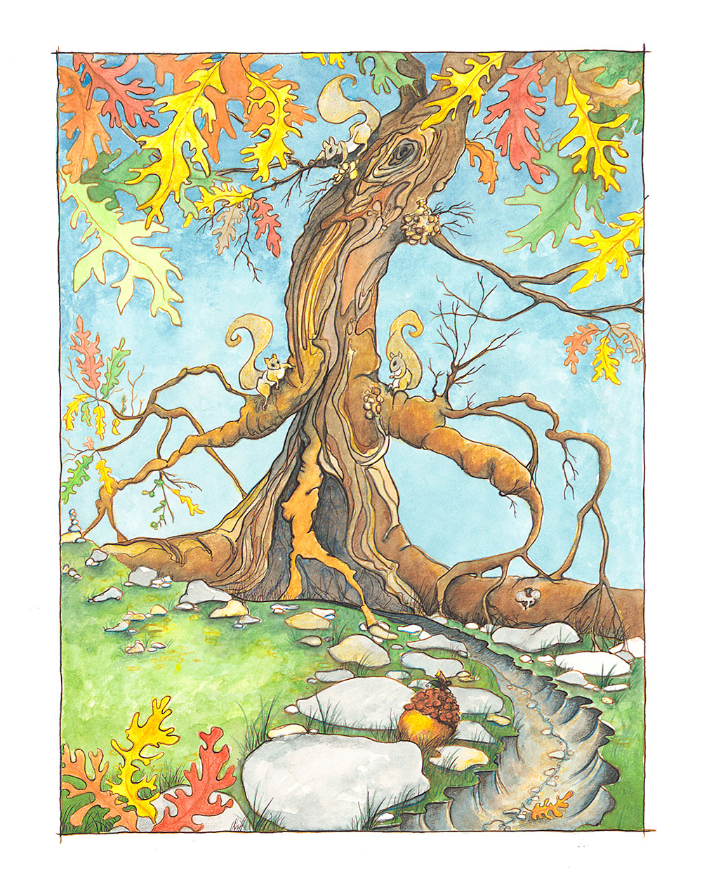 Acorn Race illustration