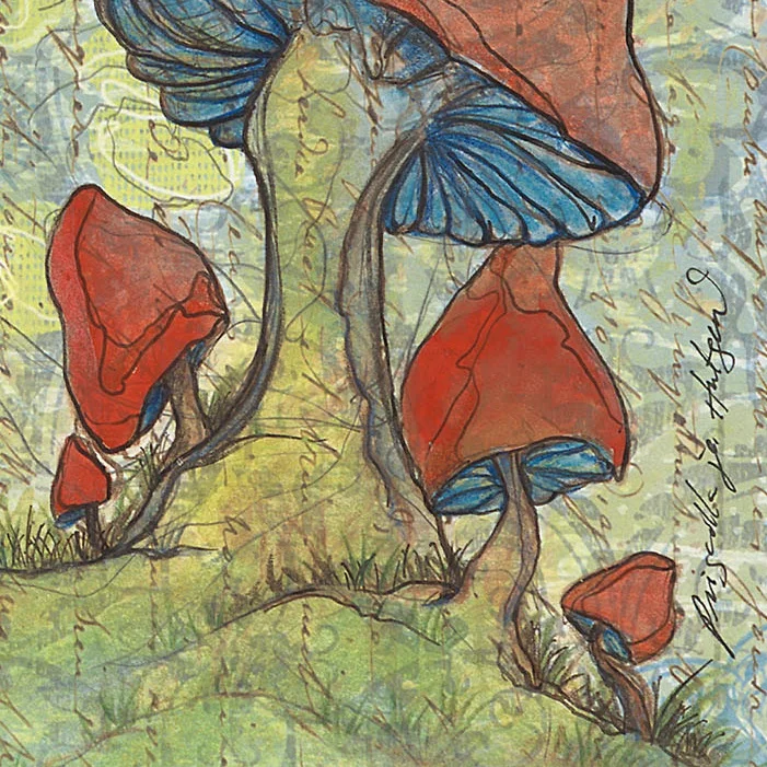 Mushroom Illustration