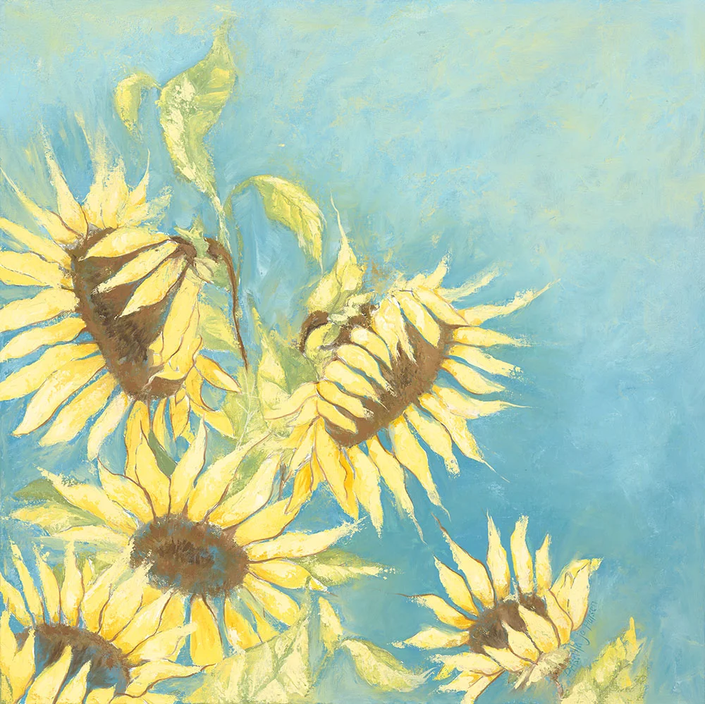Sunflower on Blue