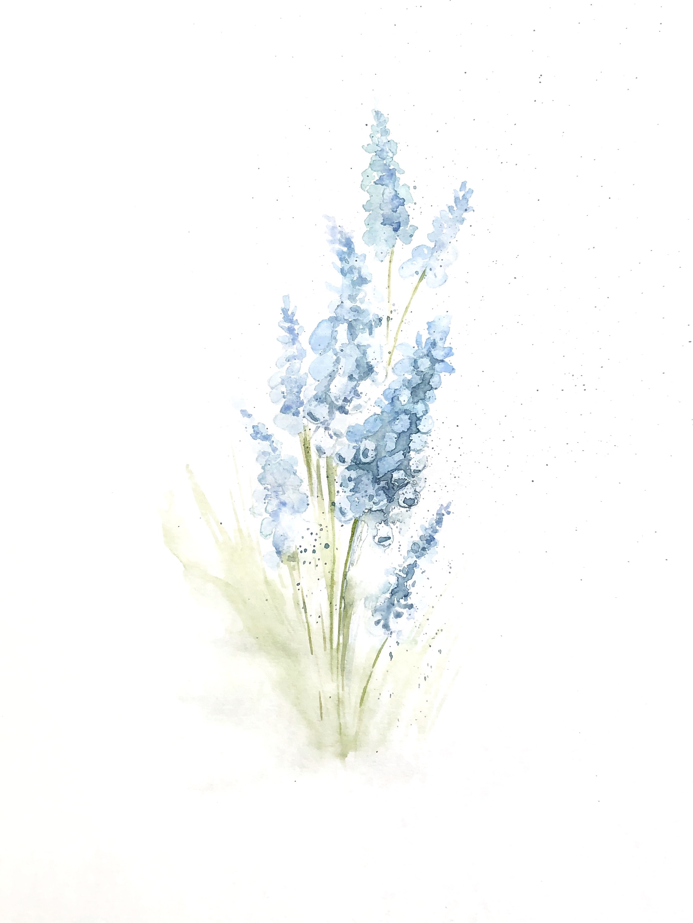 Muscari Watercolor Flower