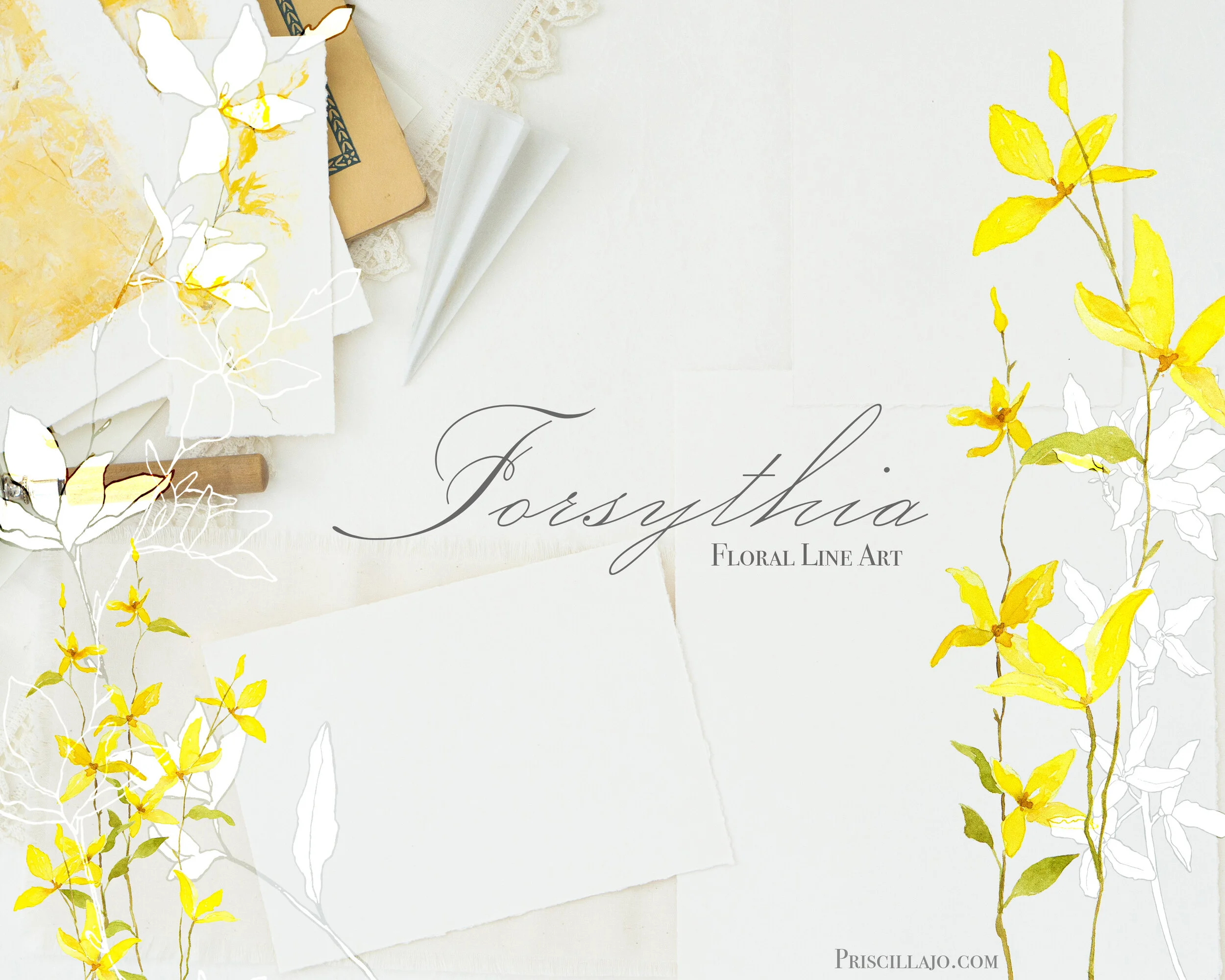 Forsythia Line Drawings and Watercolor | 20 Floral Digital Downloads