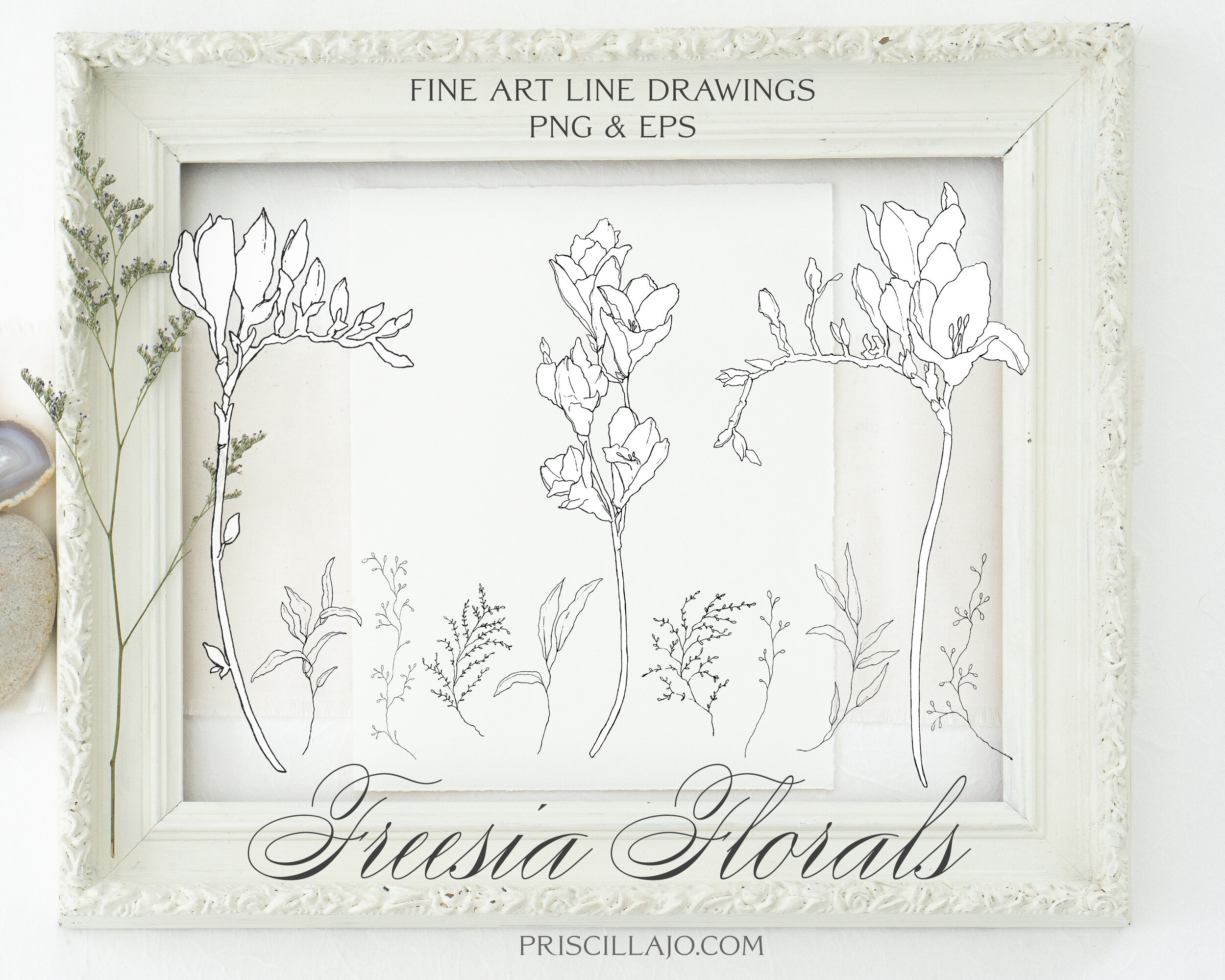 Freesia Floral Clip Art