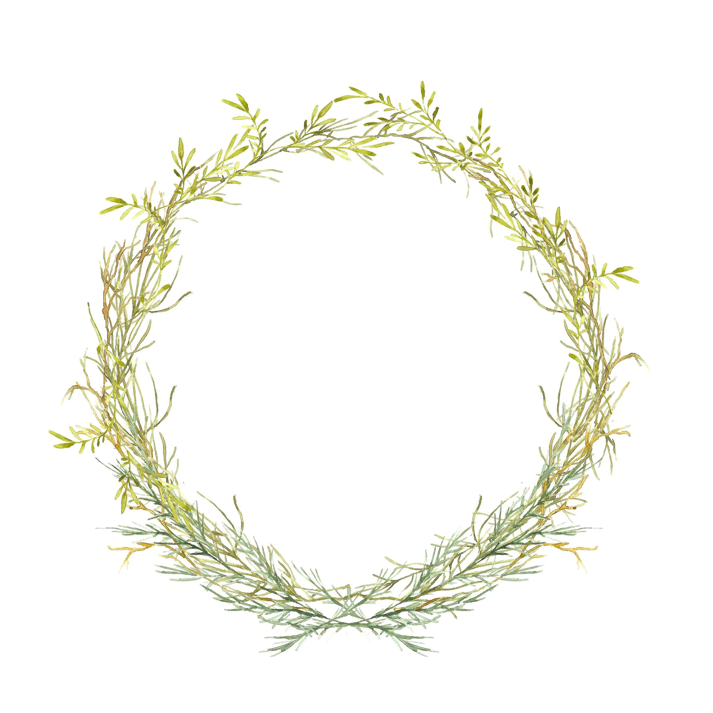 Simple Foliage Watercolor Wreath | Winter Wreath Clip Art | Christmas Stationery Design