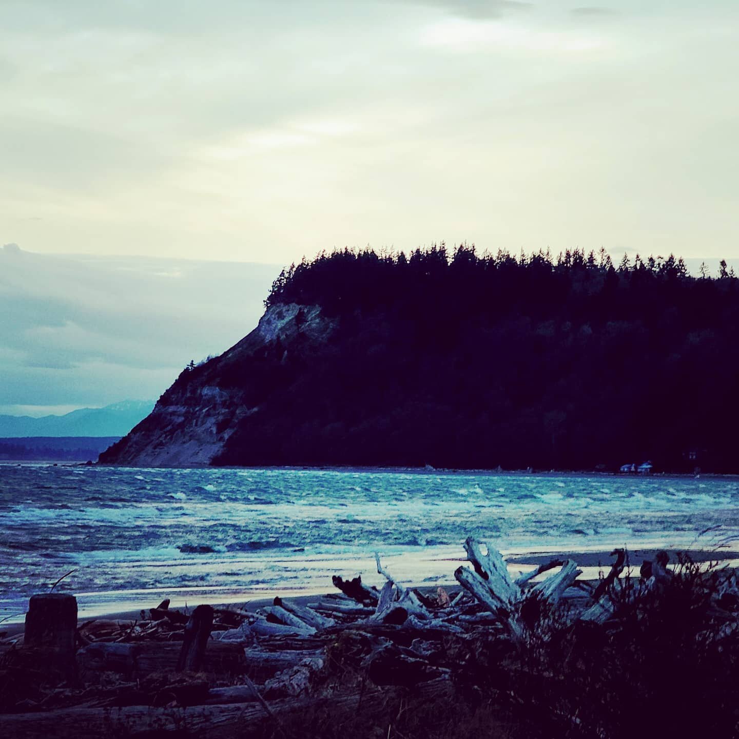 We love Double Bluff!  How about you?
.
.
.
.
.
#whidbeyisland #whidbey #vacation #vacationrental #pnw #kiteboarding #kitesurfing #uselessbay #whidbeylife