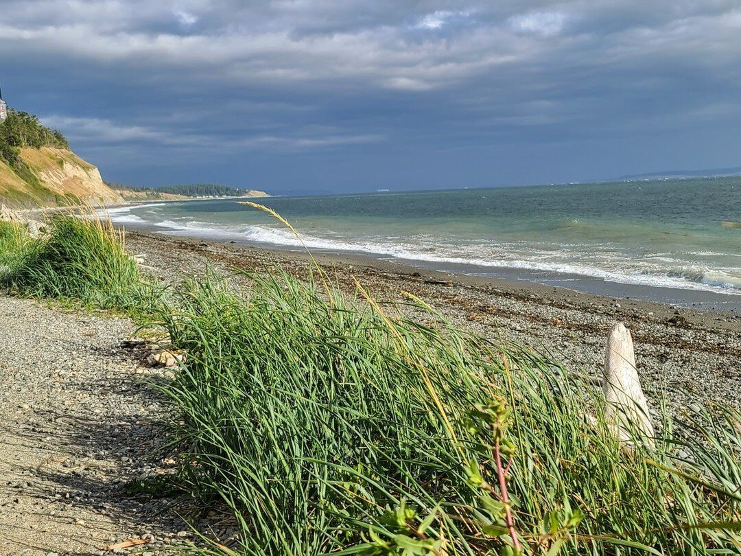 Useless Bay is pretty amazing but here are a few images from yesterday of Ebey's Landing National Historical Reserve in Coupeville on Whidbey Island.
.
.
.
.
#whidbey #whidbeyisland #uselessbay #vrbo #airbnb #pnw #dbbc #