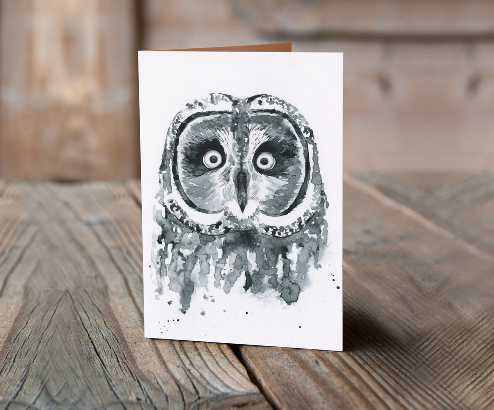 greeting+card+owl.jpg