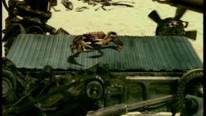 Carling CRAB