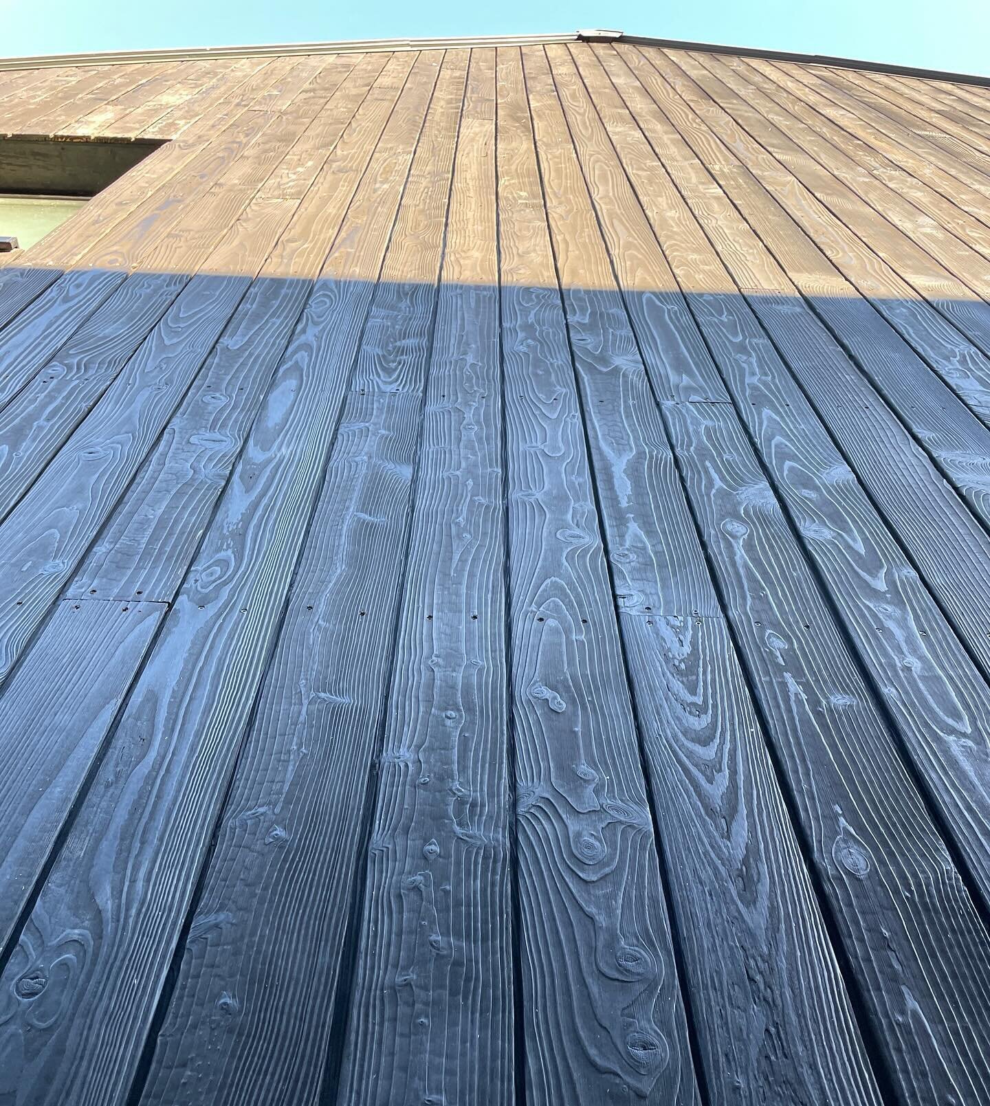 Charred timber cladding looking good at our Longframlington project. Resident chicken getting in on the fun.