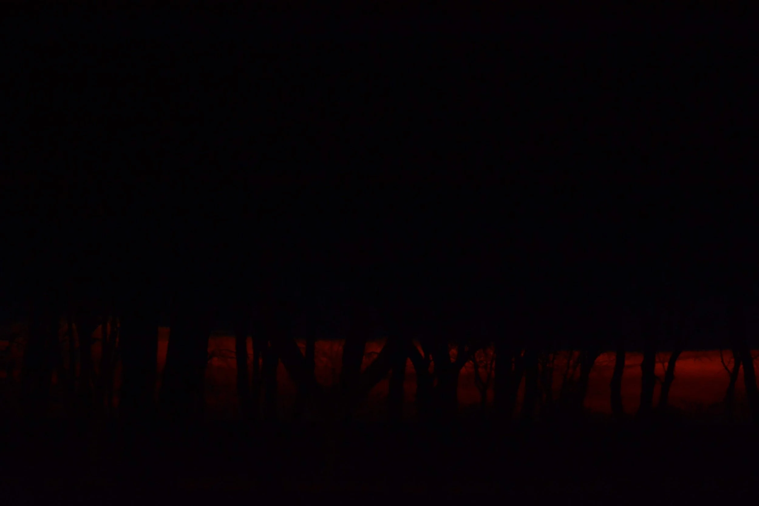 818_9883 - Version 2.jpg
