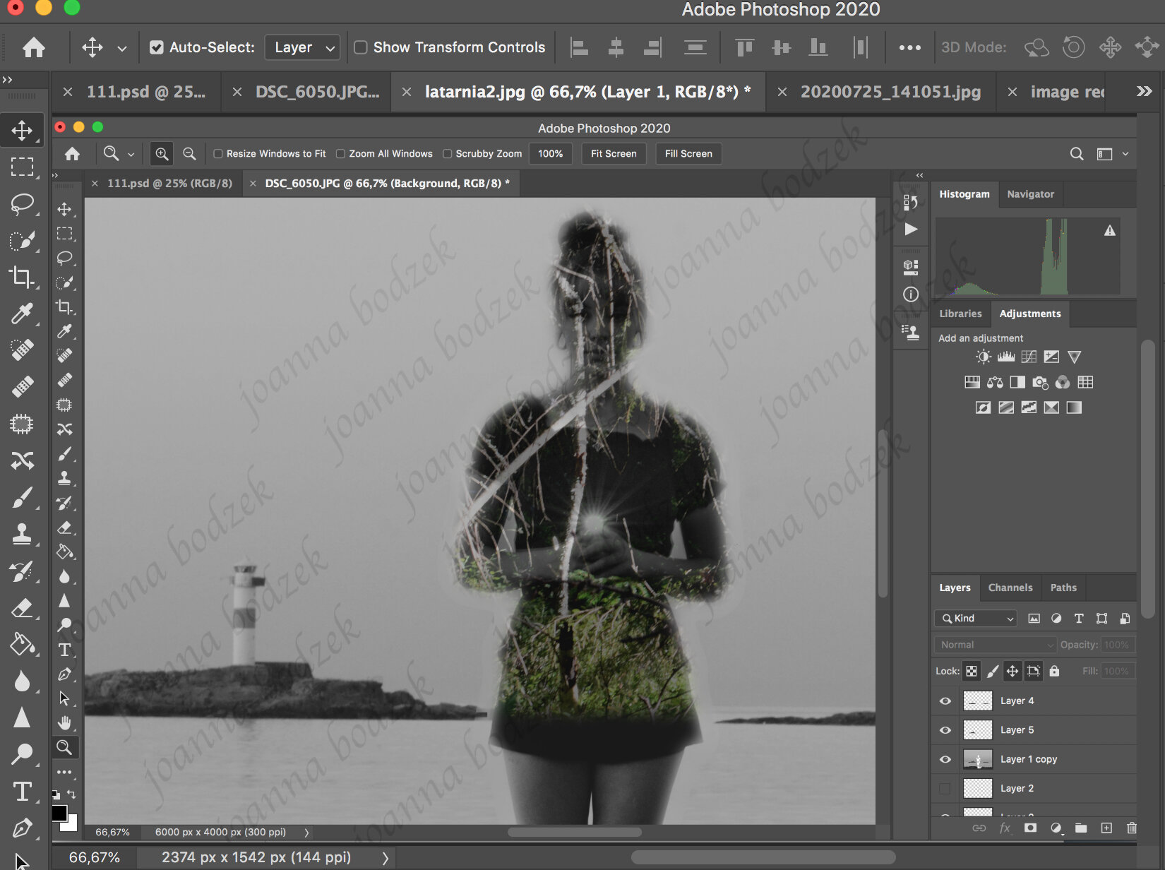 Watermark, signature.