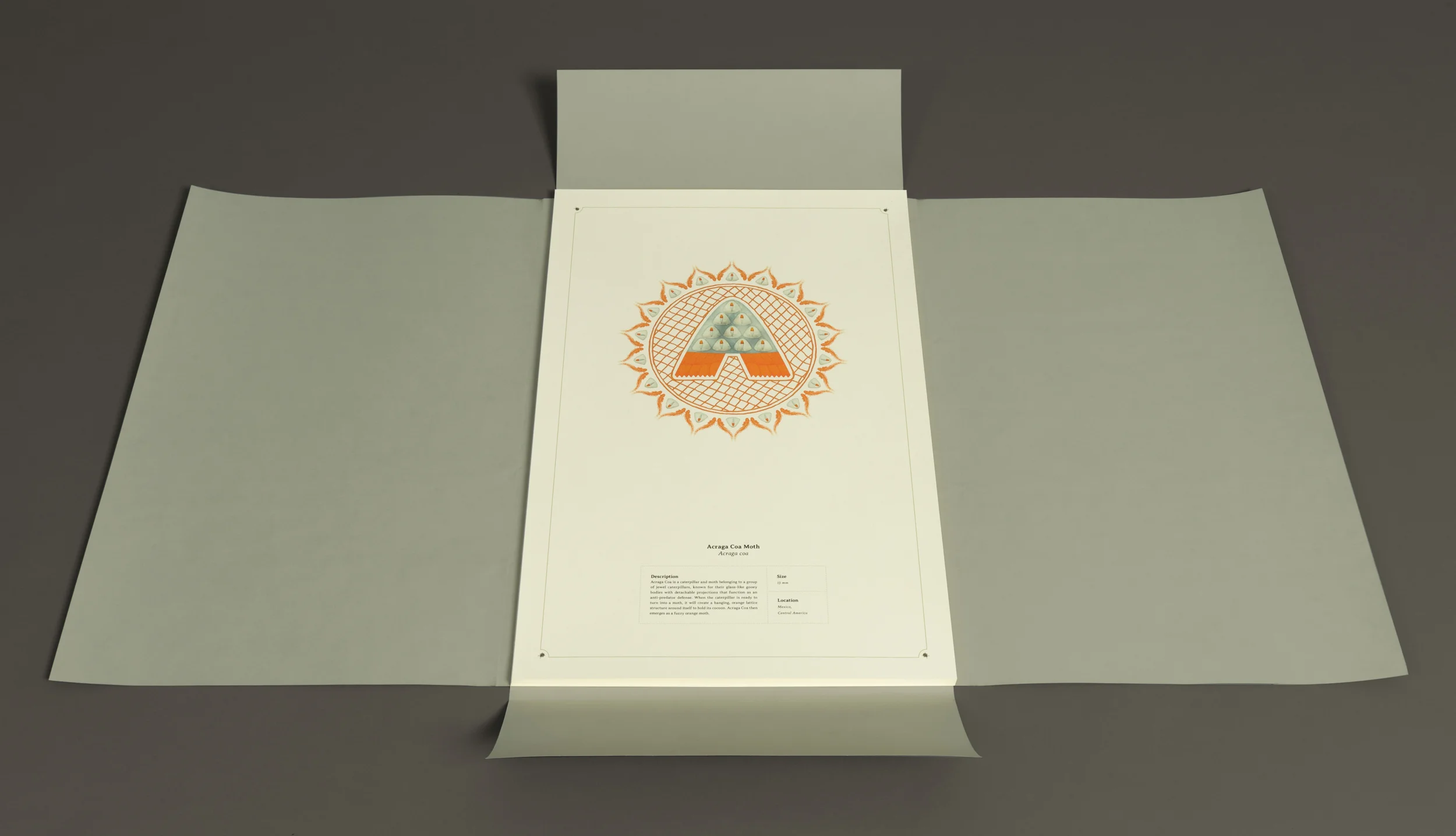 Wrapper-2.jpg