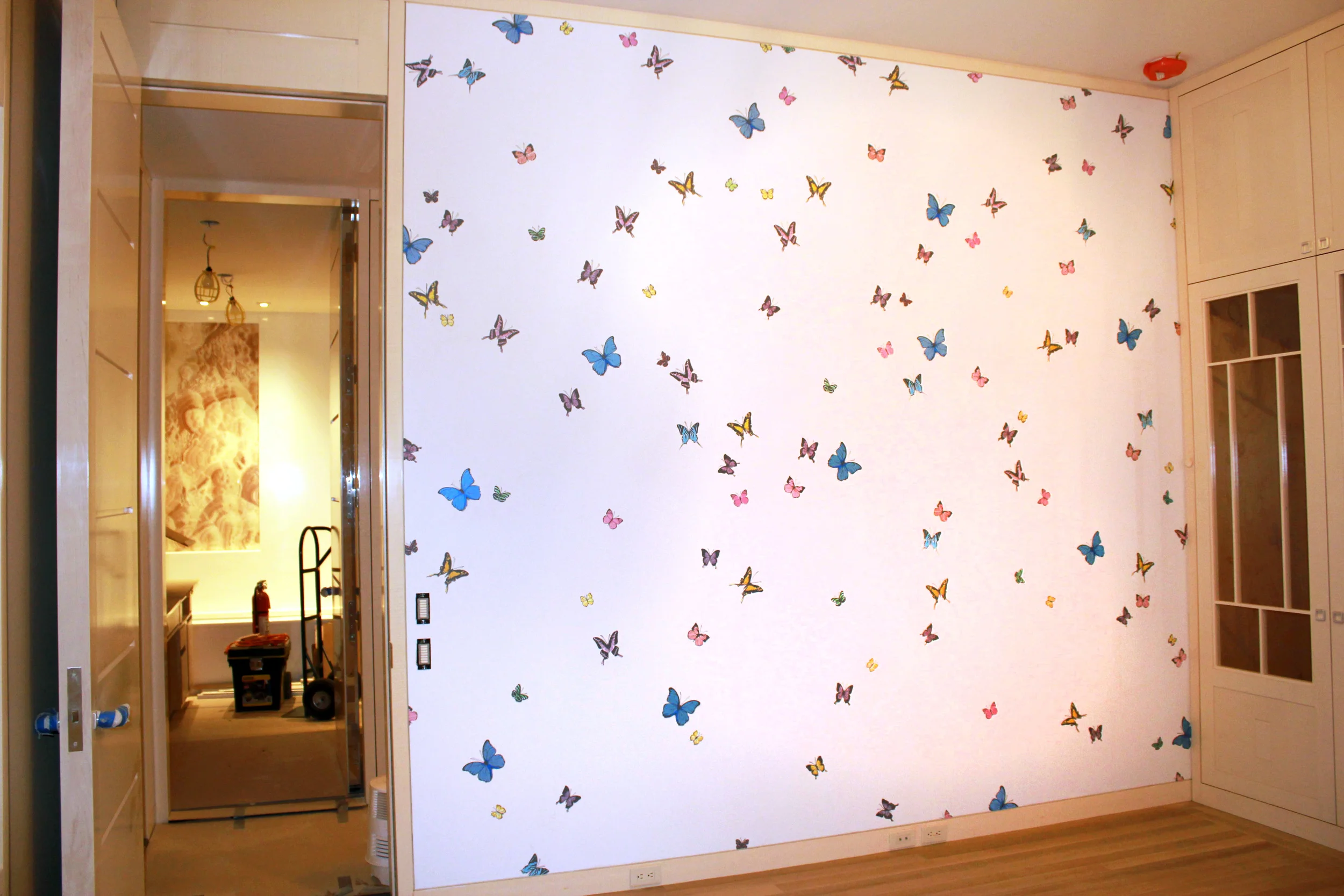 ButterflyFULL3CorrectedWeb.jpg