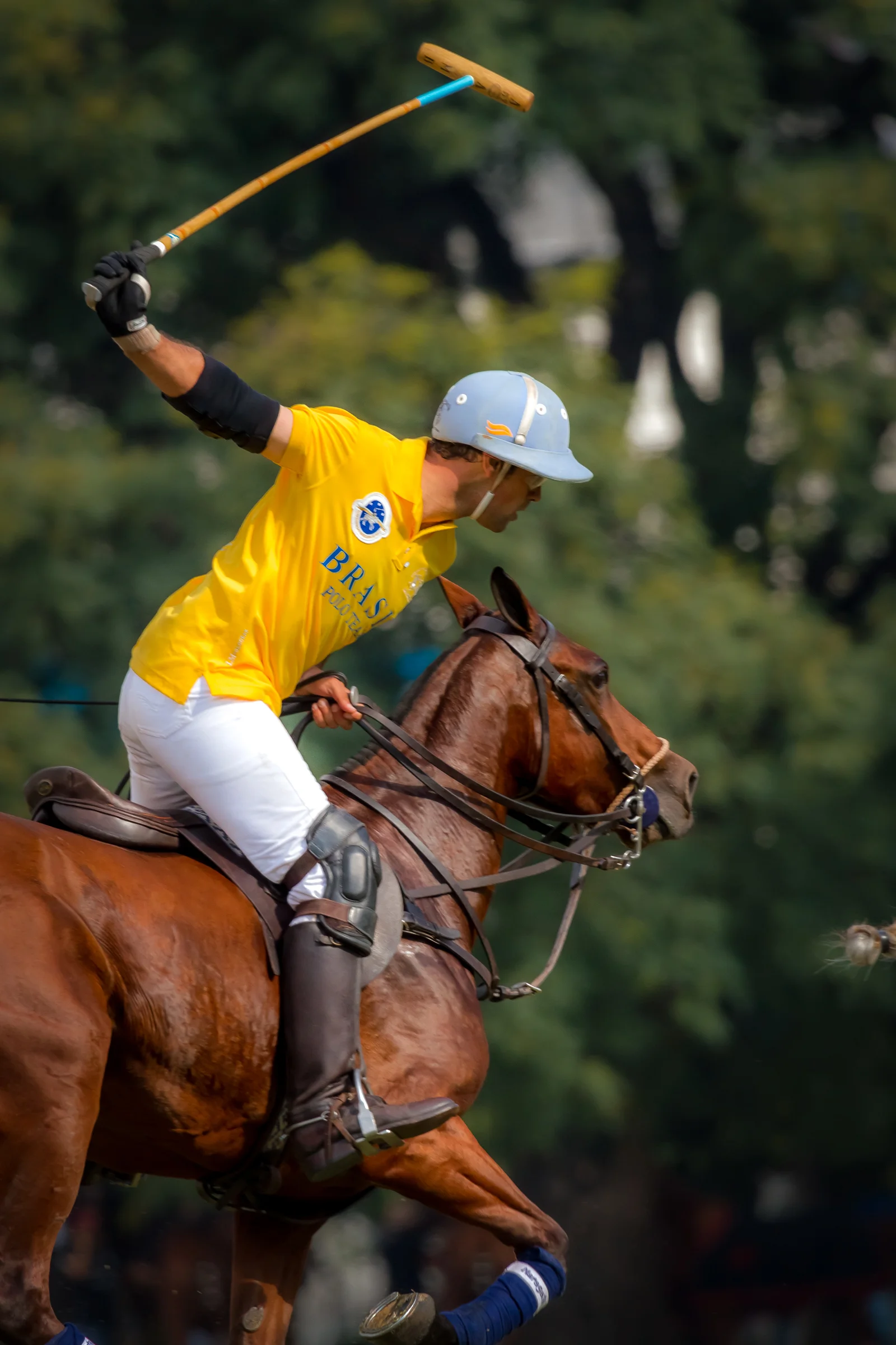 La Maragata 2012-114.jpg
