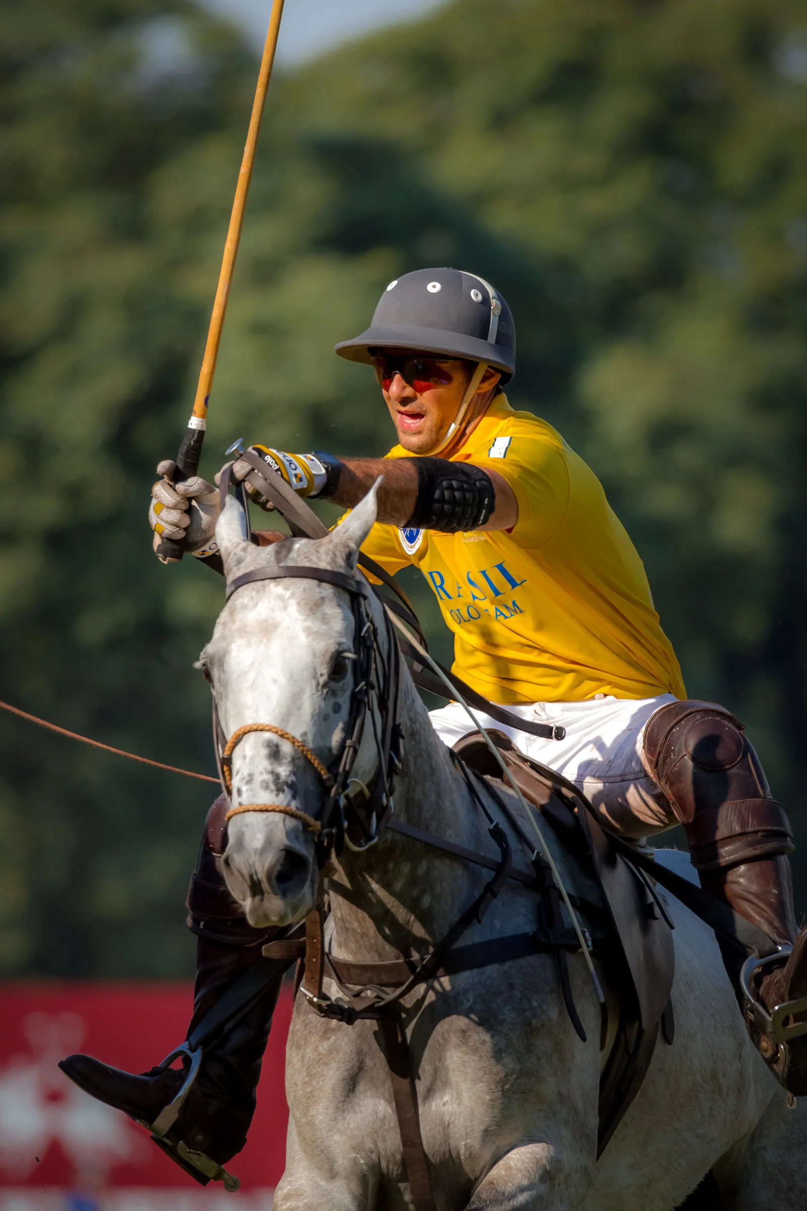 La Maragata 2012-170.jpg