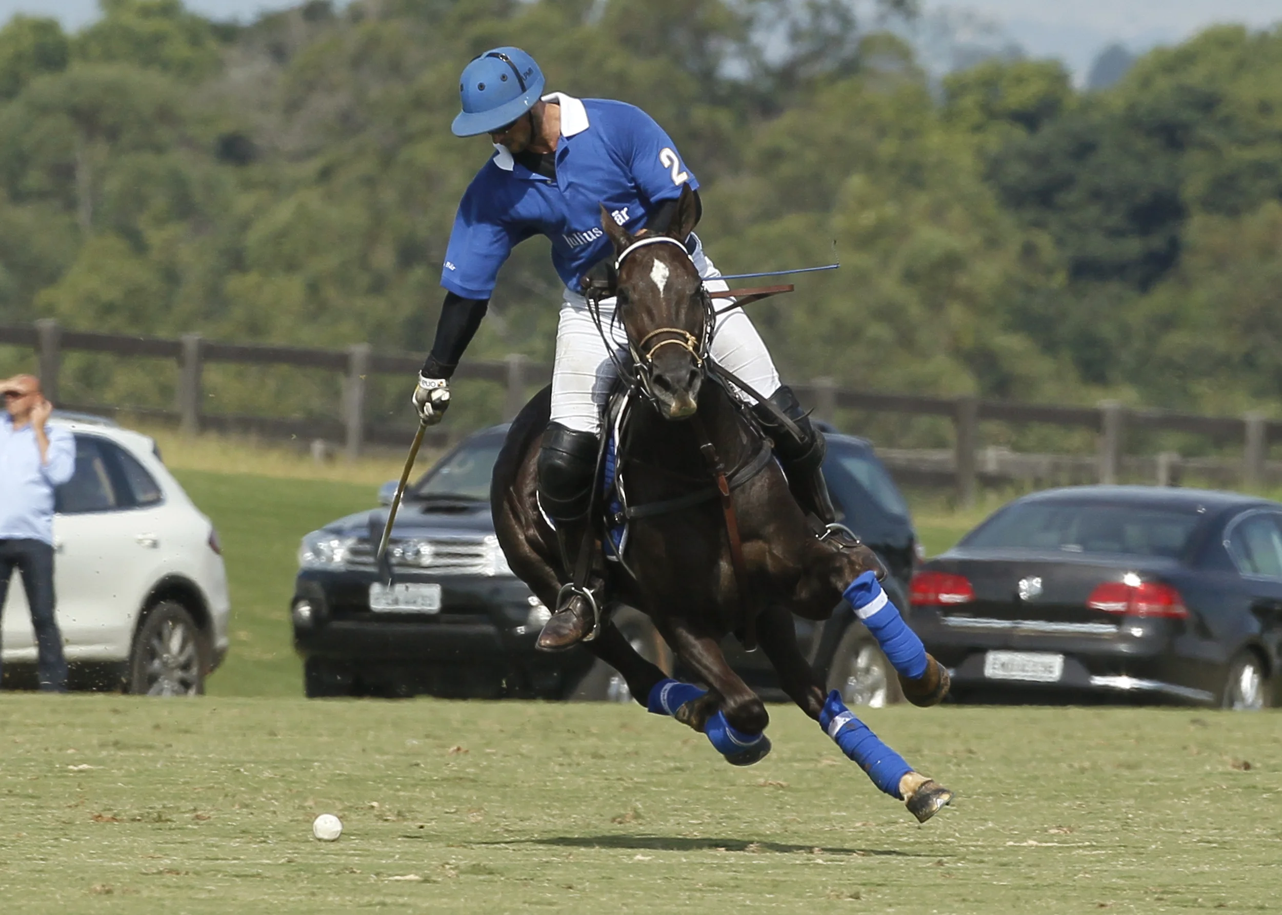 oro 4-¦2012 208 copy.jpg
