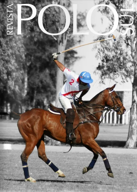Polo Sul 2010