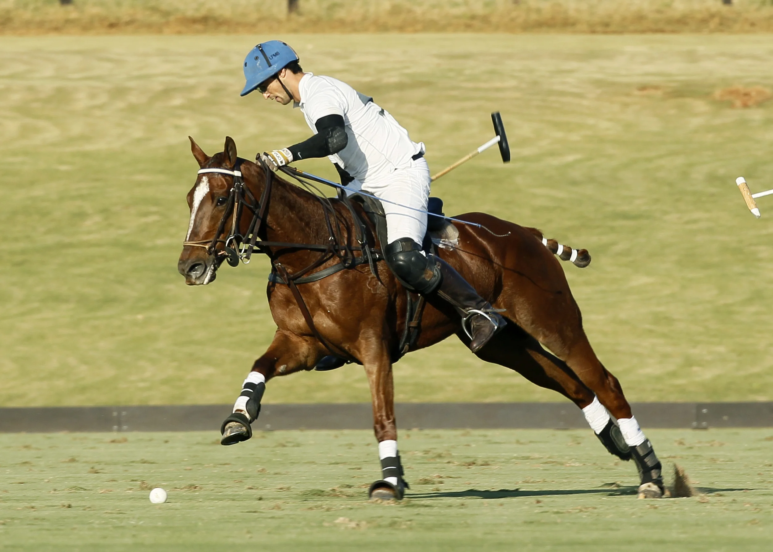 6° FECHA 2012 340 copy.jpg
