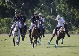 polo.jpg