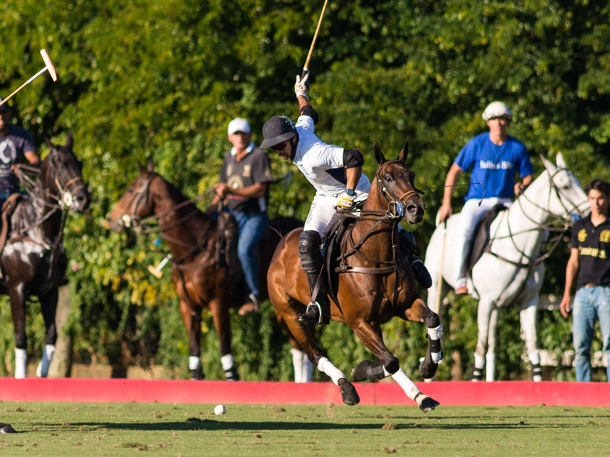 20150627_NIKON D610_Aberto SP_Maragata Zapalla x Guabi Polo_-_KUR8990.jpg