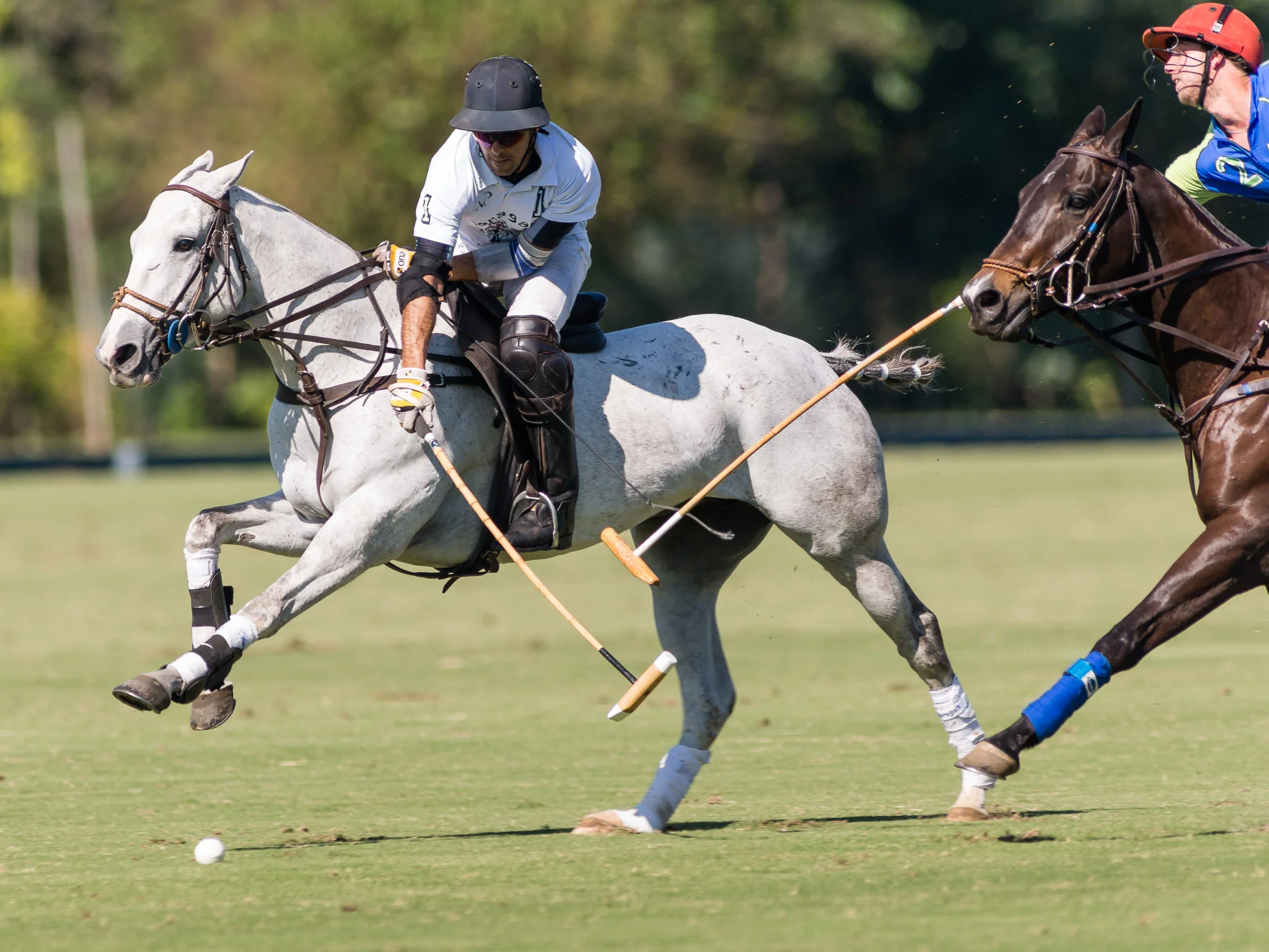 20150623_NIKON D610_Aberto SP_Maragata Zapalla x Guabi Polo_-_KUR5312 (1).jpg
