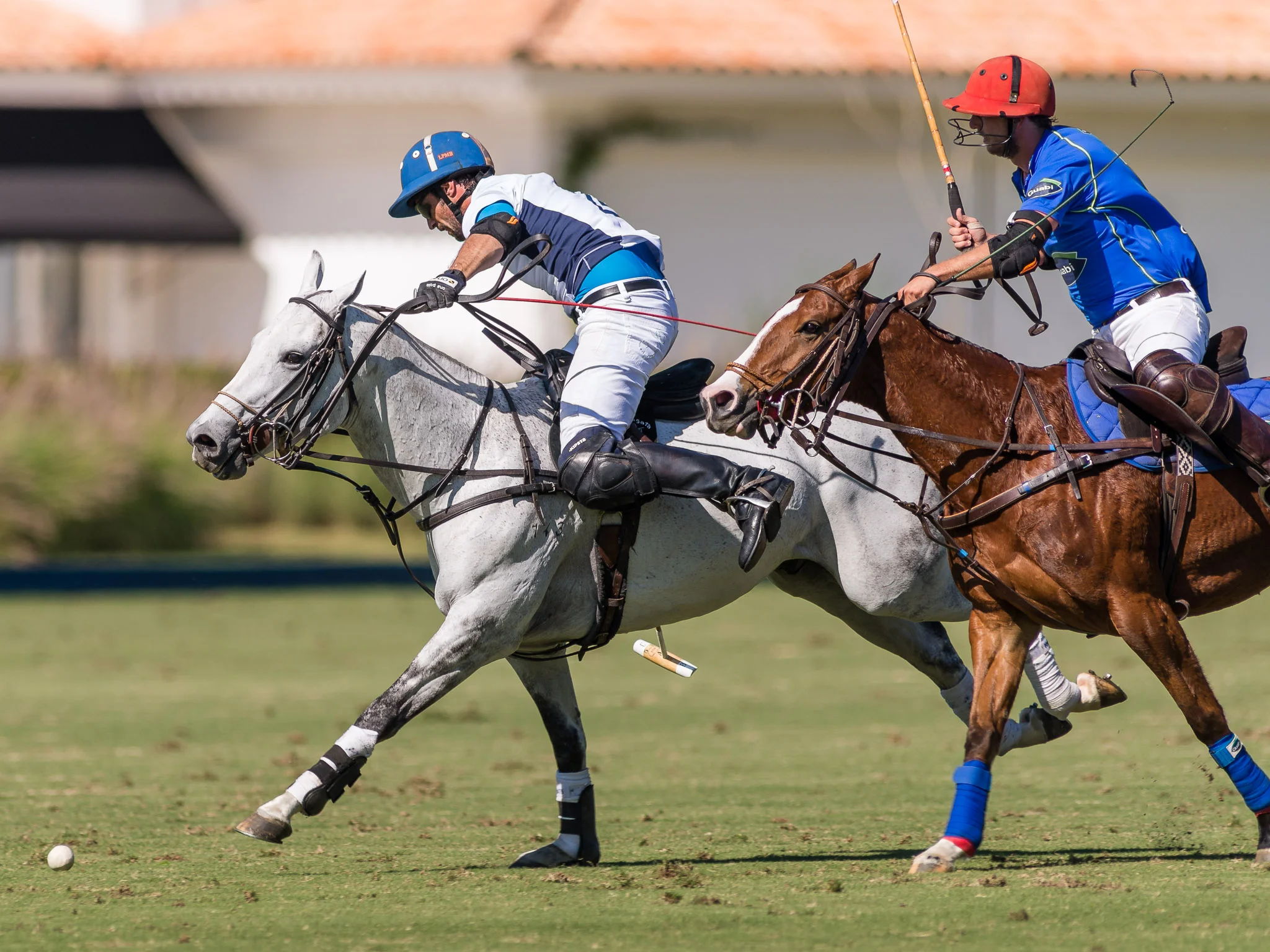 20150623_NIKON D610_Aberto SP_Maragata Zapalla x Guabi Polo_-_KUR5492.jpg