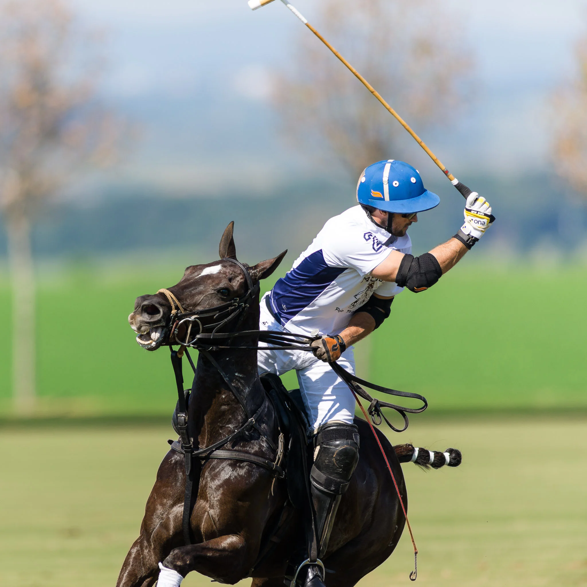 20150604_NIKON D610_Copa Ouro_Maragata Zapalla x Santa Márcia Polo_-_KUR7290.jpg