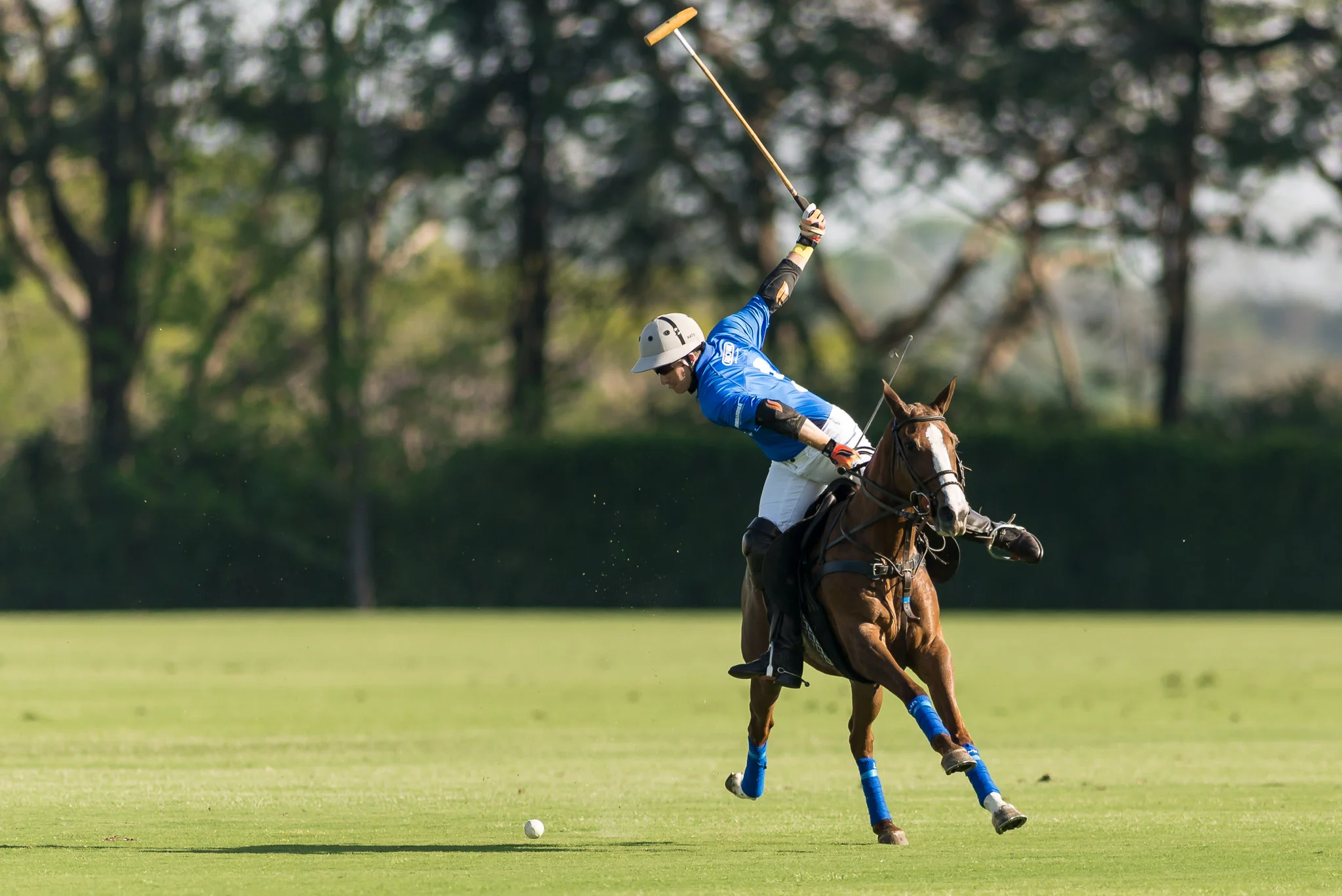 20160910_NIKON D610_2°_Maragata_Polo_Experience_-_KUR6590.jpg