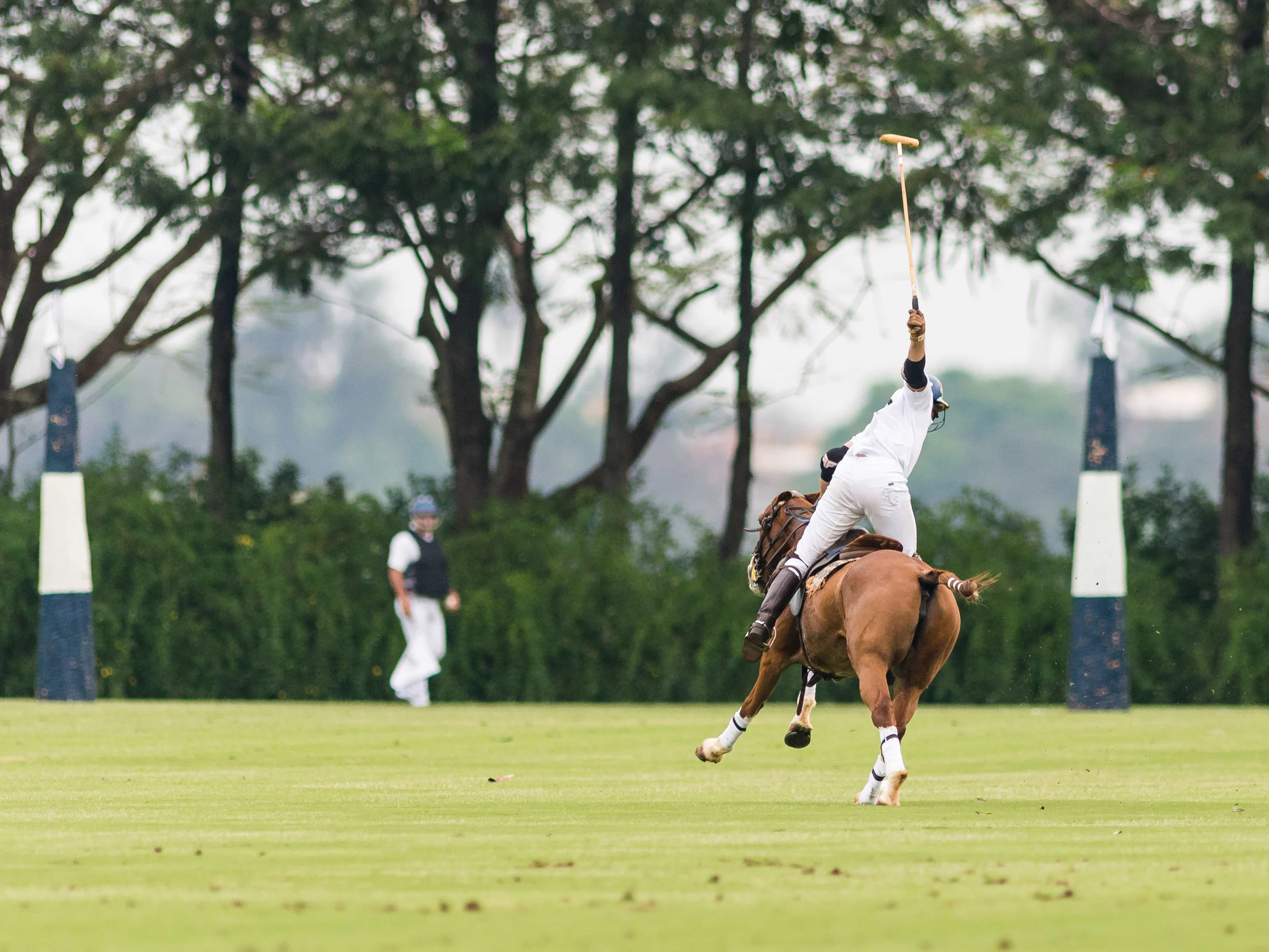 20150926_NIKON D610_1º_Maragata_Polo_Experience_-_KUR2803.jpg