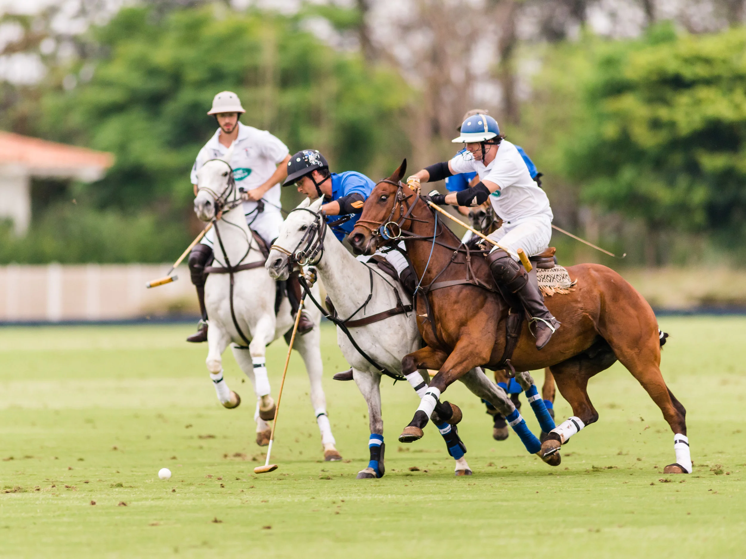 20150926_NIKON D610_1º_Maragata_Polo_Experience_-_KUR3035.jpg