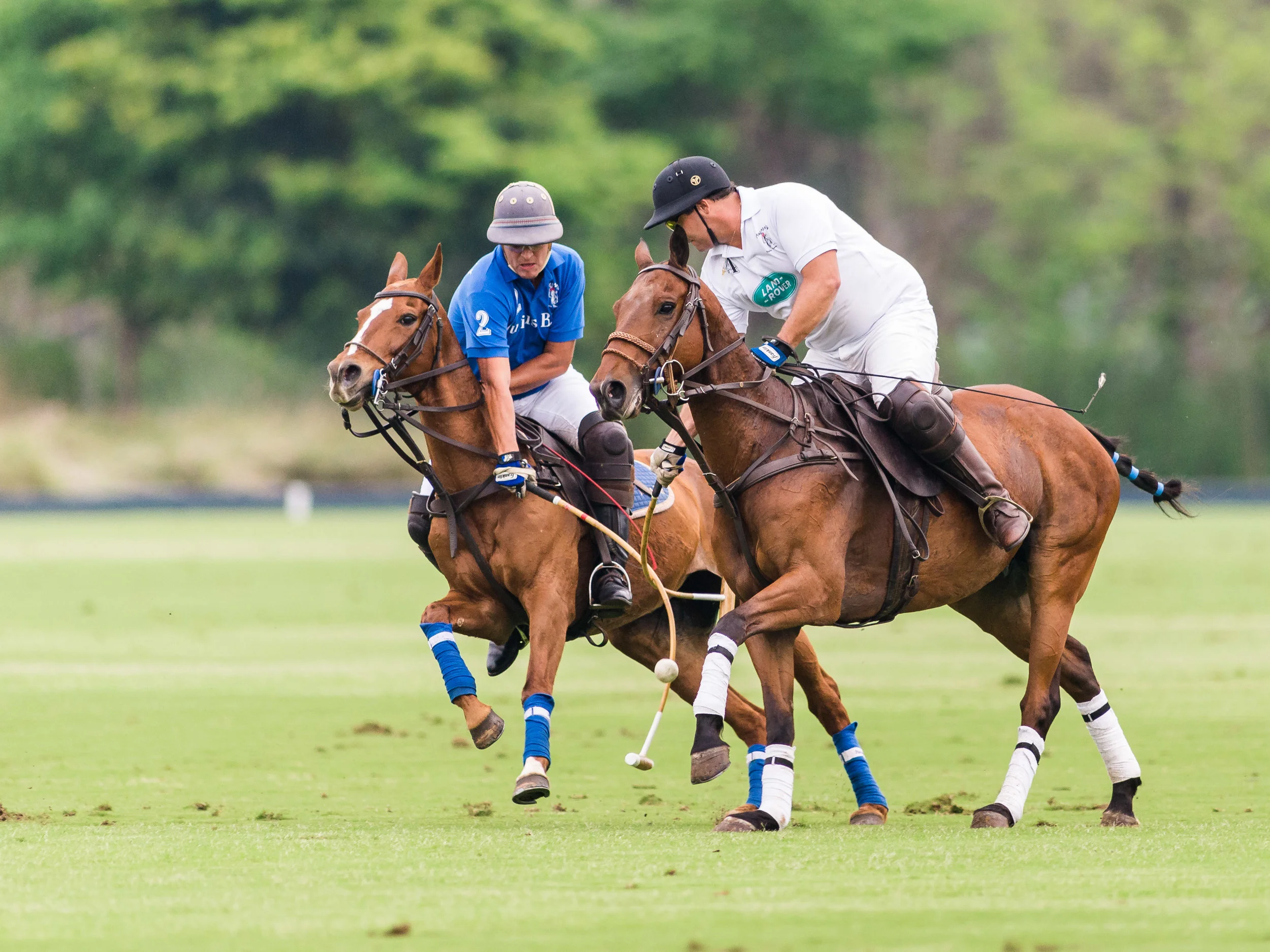 20150926_NIKON D610_1º_Maragata_Polo_Experience_-_KUR2864.jpg