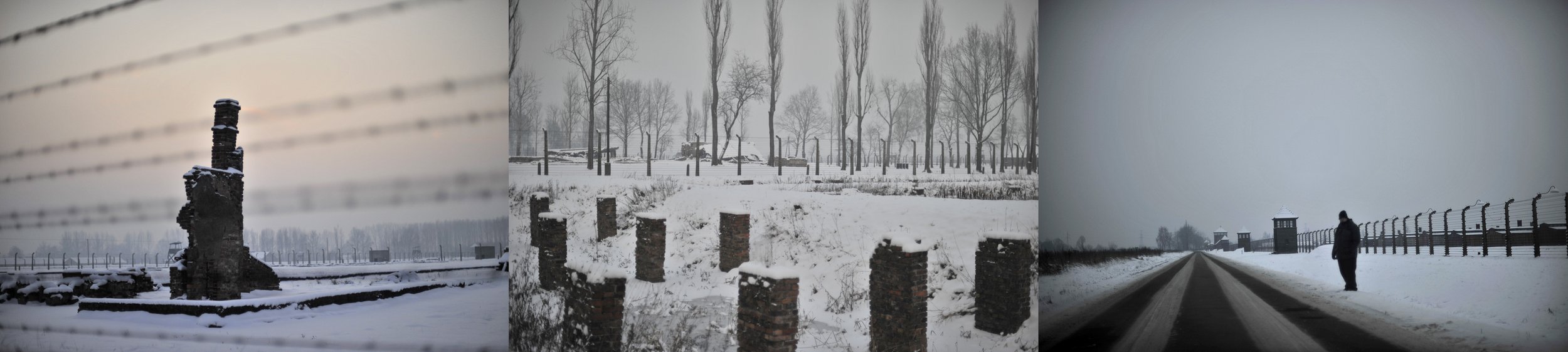 Auschwitz_Montage_02.jpg