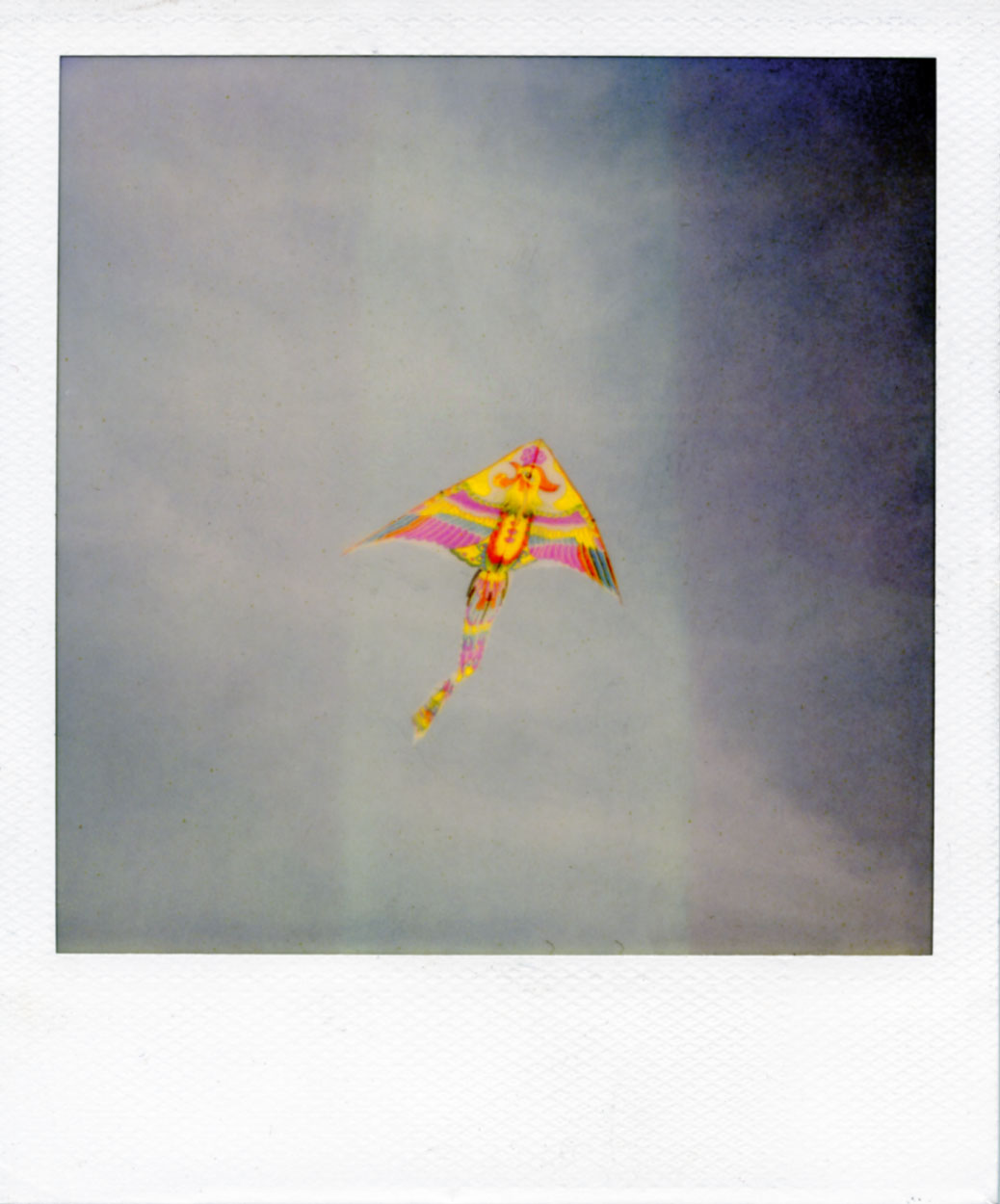 Polaroid081_web.jpg