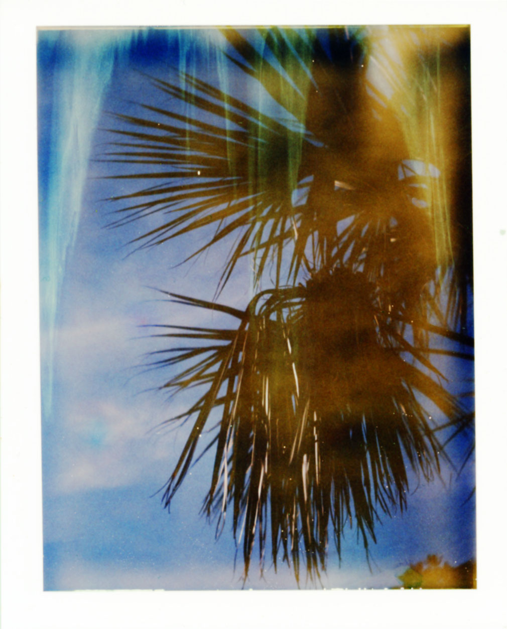 Polaroid078_web.jpg