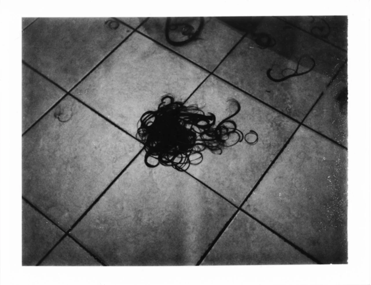 Polaroid091_web.jpg