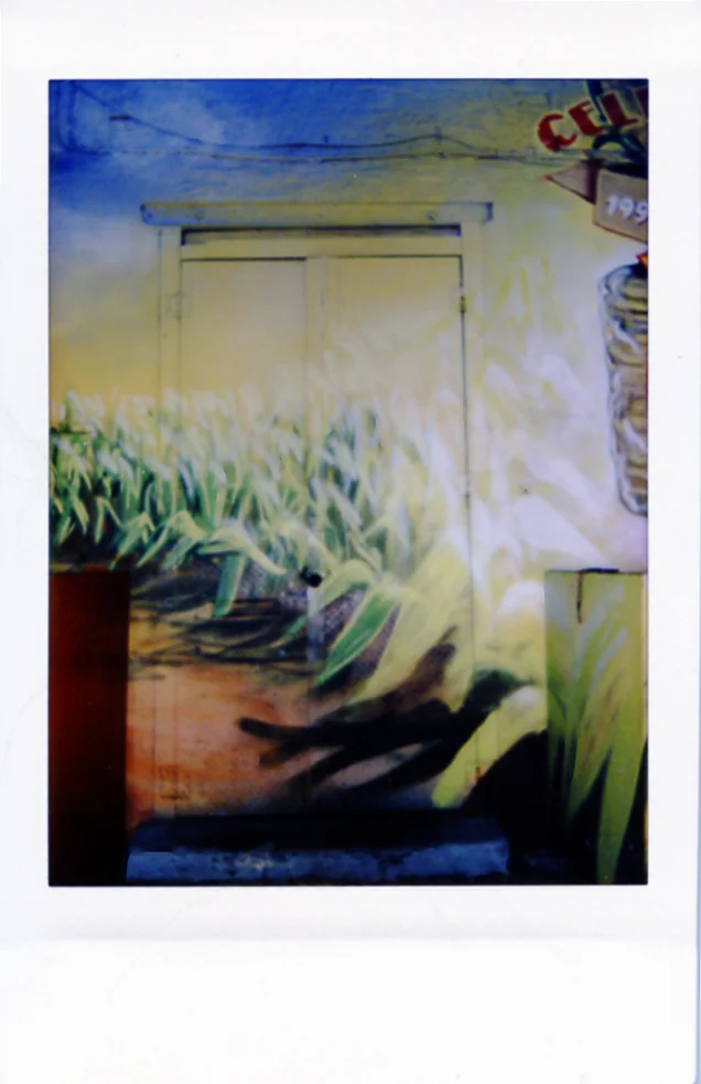 Polaroid098_web.jpg